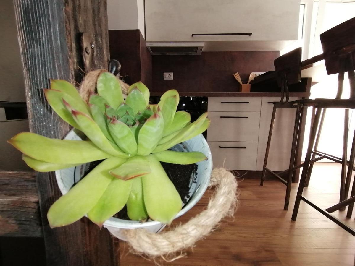 Apartmani Kiko Porec Ngoại thất bức ảnh